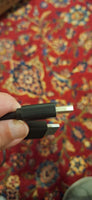 Display Port to Display Port 6 Ft. Cable