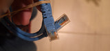 3ft Belkin Cat5e BluePatch Network Cable BOTH LATCHES BROKEN!!!!