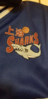 Jimmer Fredette Blue Shanghai Sharks CBA Basketball Jersey, Size XL - Diamonds Sapphires Rubies Emeralds