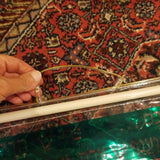 Esrog And Lulav Carrying Case for Sukkot