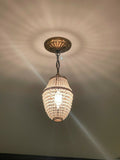 Chandelier/ Hanging Lamp/ Ceiling Lighting Fixture