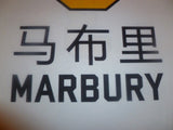 Stephon Marbury Beijing Fly Dragons Basketball Jersey White, Size Large - Diamonds Sapphires Rubies Emeralds