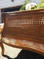 Vintage Regency Caned Fauteuil Designer Chair