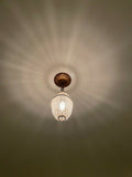 Chandelier/ Hanging Lamp/ Ceiling Lighting Fixture