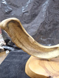 Brass Jewish Shofar  9.5" X 8" Meiselman Italy Wood Base