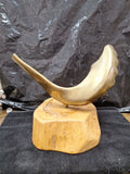 Brass Jewish Shofar  9.5" X 8" Meiselman Italy Wood Base