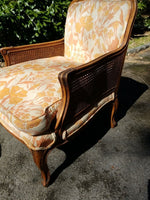Vintage Regency Caned Fauteuil Designer Chair