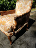 Vintage Regency Caned Fauteuil Designer Chair
