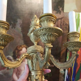 Pair Of Louis XV French Bronze Sconces