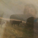 antique 19th century Water Color Painting Of Cows