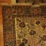 Antique Oriental Rug 4-11x 7-1