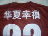 Ezequiel Lavezzi Hebei China Fortune Football Club Soccer Jersey