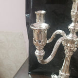 Silver Candleabra Six Candle