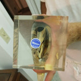 Mid Century Modern Murano Fish Sculpture Labeled